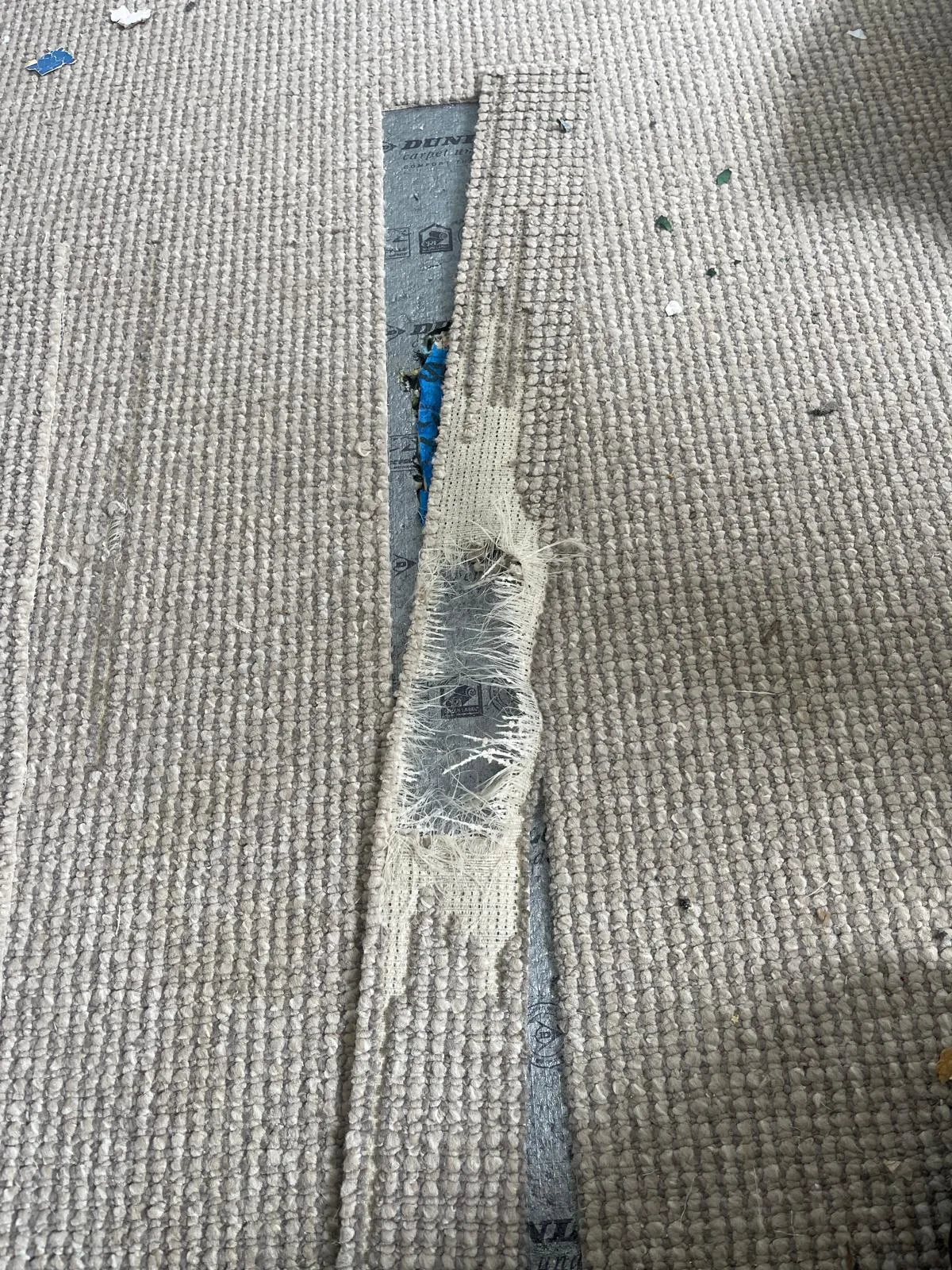 Carpet with a visible burn hole before professional patch repair in Sydney.